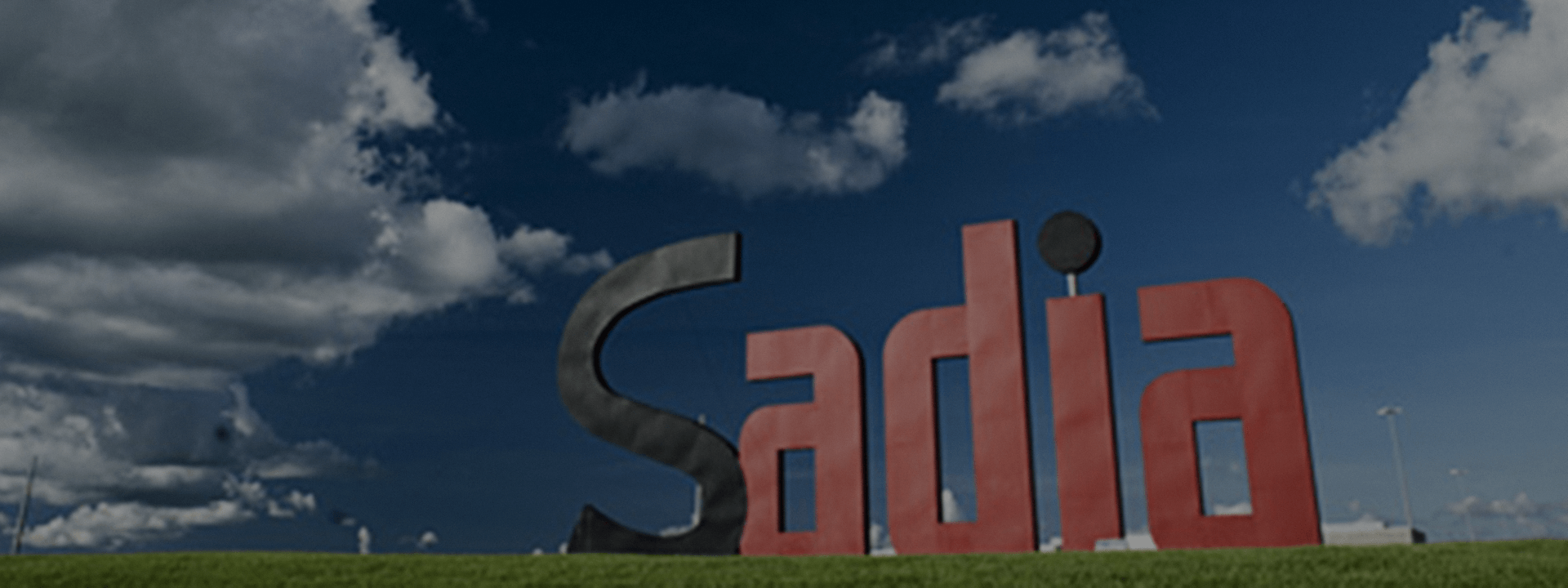 Nasce o Instituto Sadia